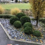 Amenagement plantation