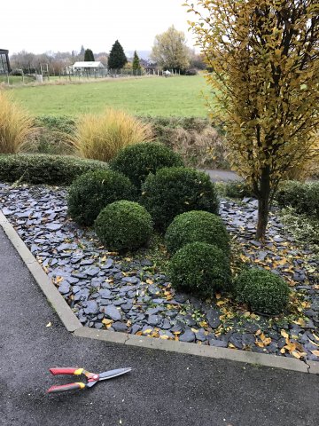 Amenagement plantation